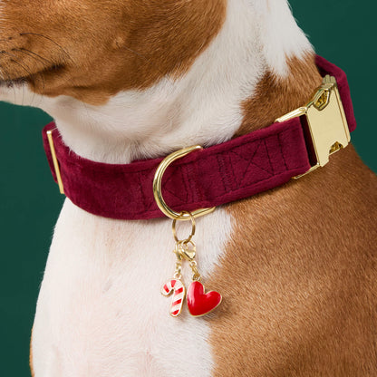 Candy Cane Collar Charm