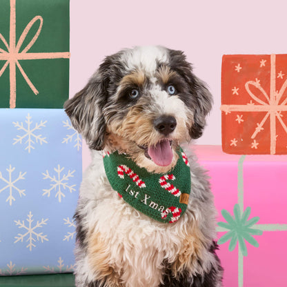 Candy Canes Knit Dog Bandana