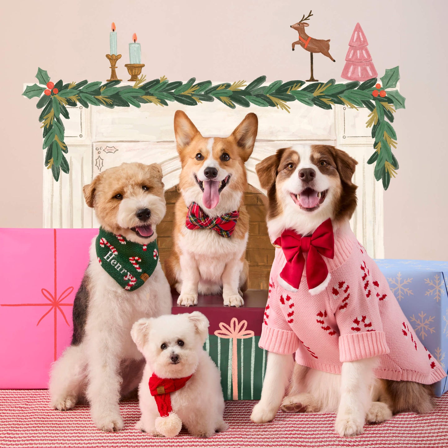 Candy Canes Knit Dog Bandana