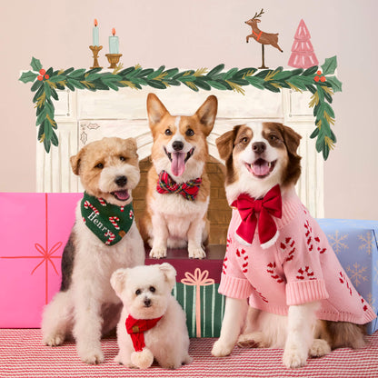 Candy Canes Knit Dog Bandana