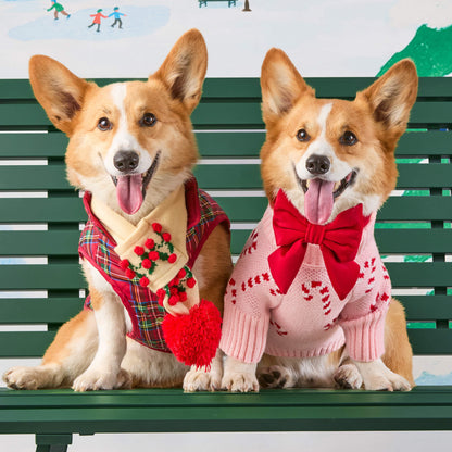 Holly Bobble Knit Dog Scarf
