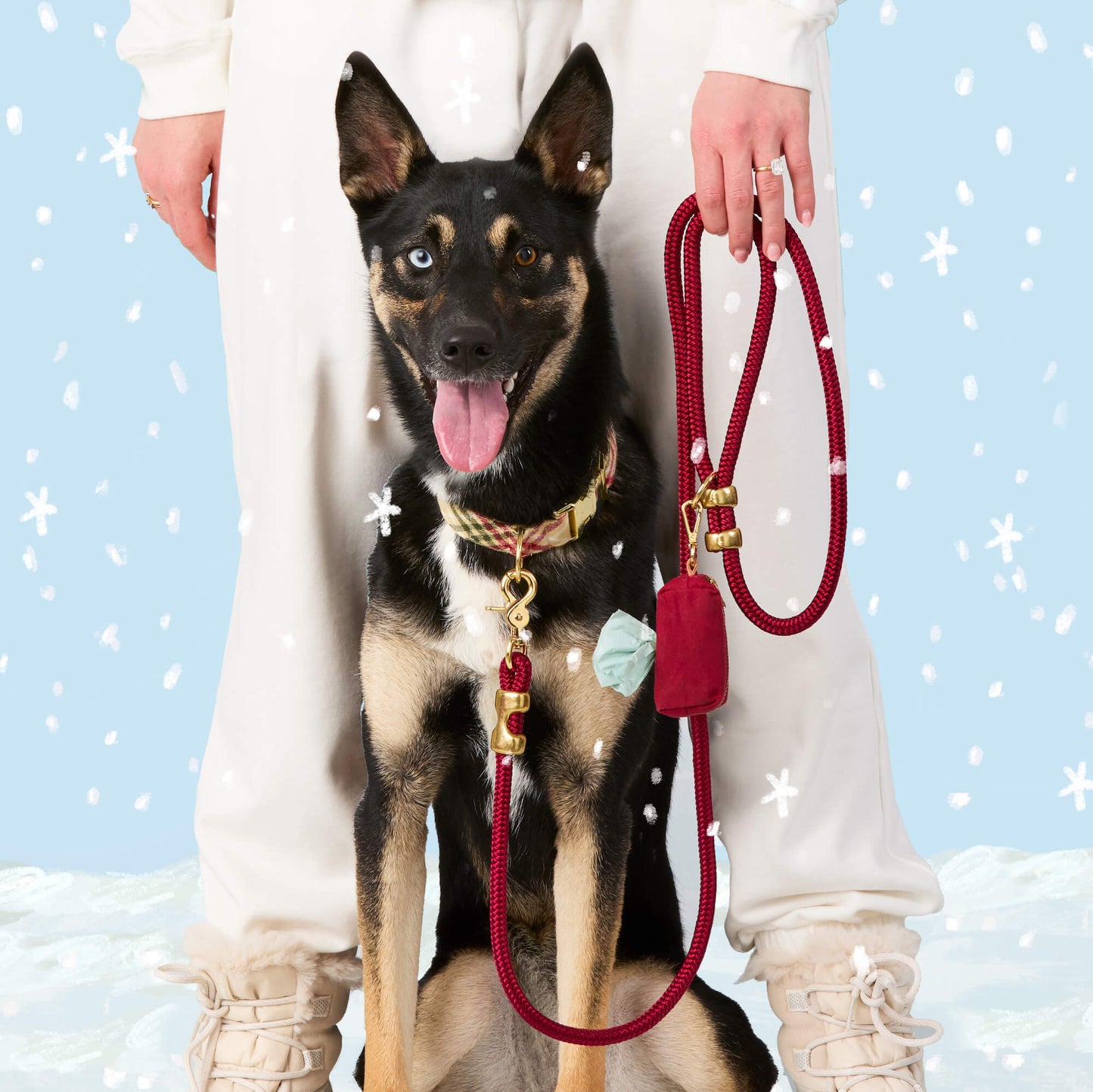 Eggnog Plaid Flannel Collar Walk Set