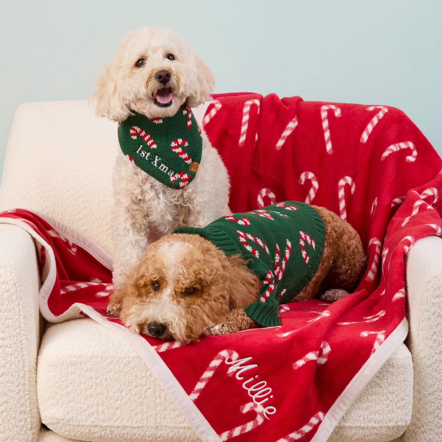 Candy Canes Knit Dog Bandana