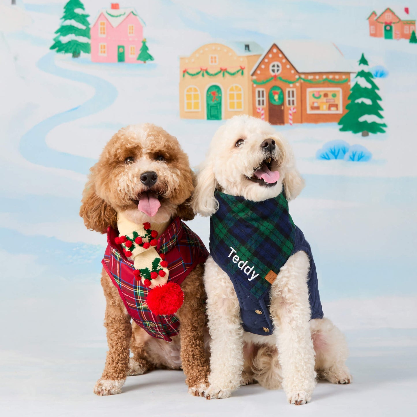 Tartan Reversible Dog Jacket