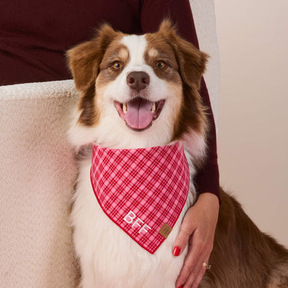 Heather Taylor Home x TFD Katherine Plaid Valentine Dog Bandana