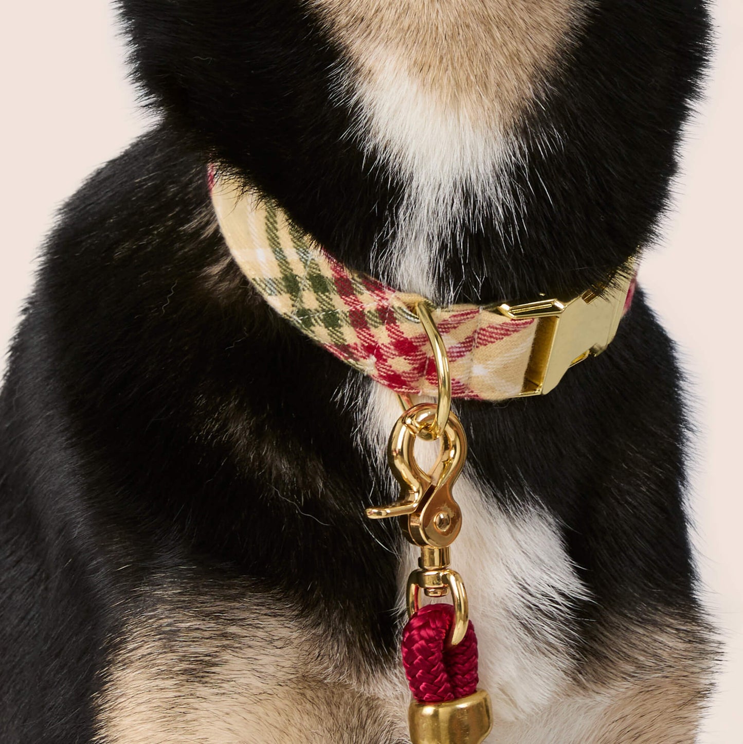 Eggnog Plaid Flannel Dog Collar
