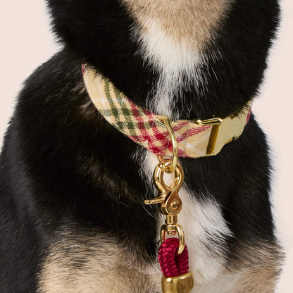 Eggnog Plaid Flannel Dog Collar