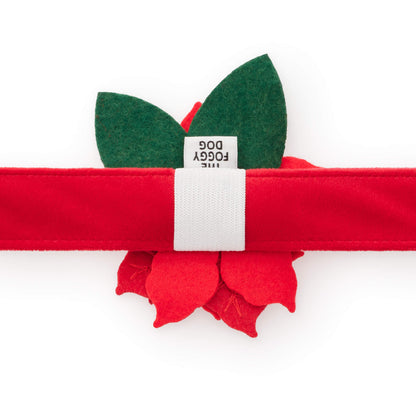 Poinsettia Dog Collar Flower Set