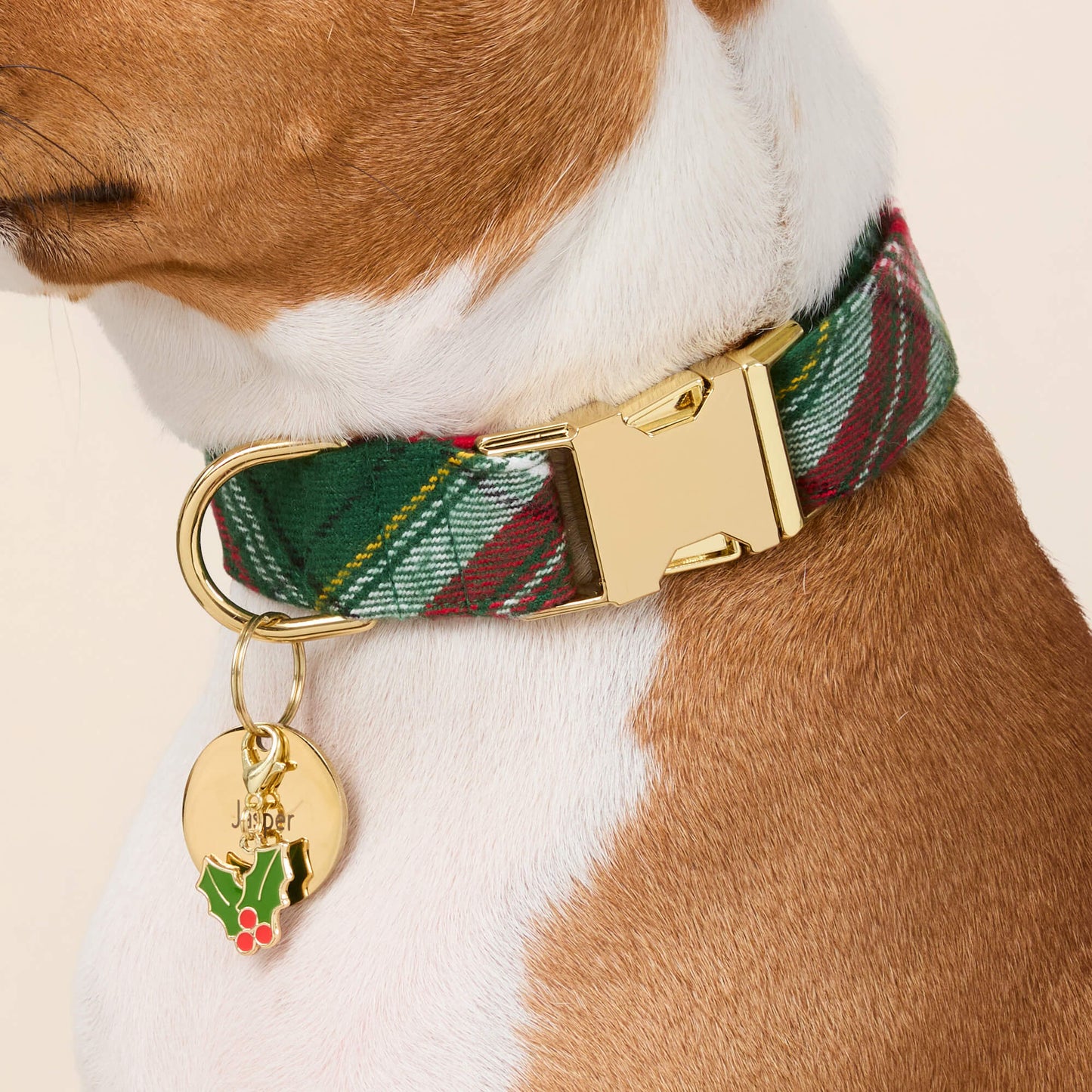 Holly Collar Charm