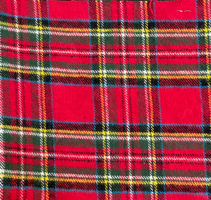 Tartan Plaid Flannel Dog Squeaky Toy