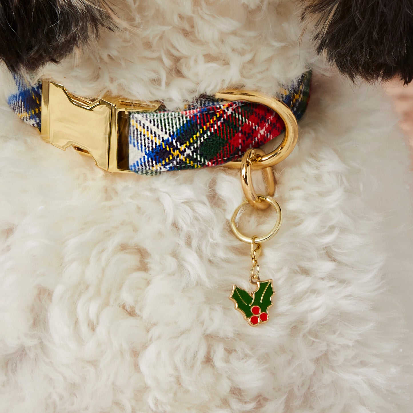 Holly Collar Charm