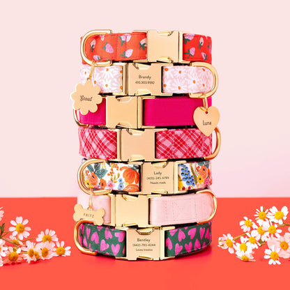 Heather Taylor Home x TFD Katherine Plaid Valentine Dog Collar