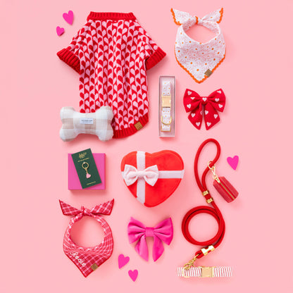 Heather Taylor Home x TFD Katherine Plaid Valentine Dog Bandana