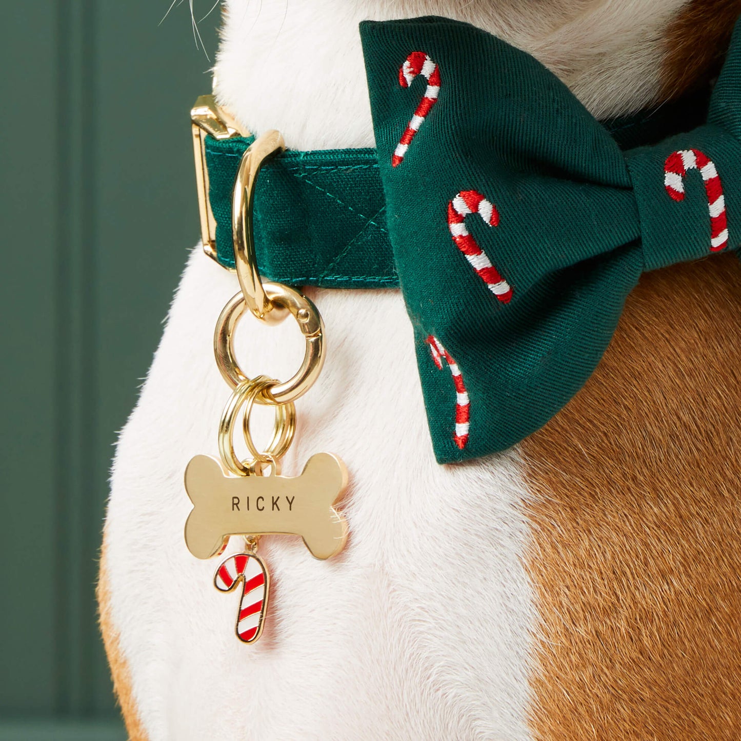 Evergreen Candy Canes Embroidered Dog Bow Tie
