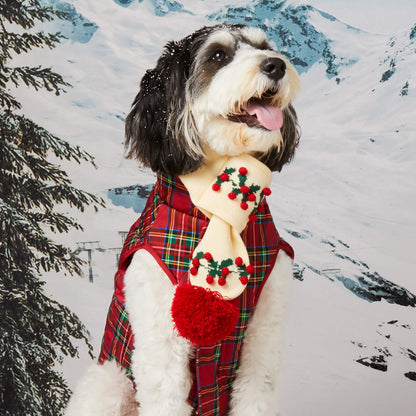 Holly Bobble Knit Dog Scarf