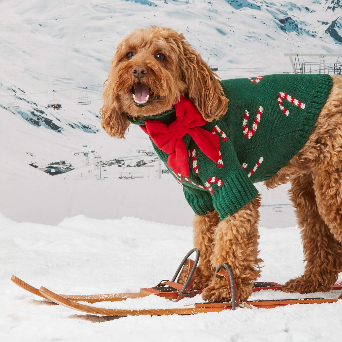 Evergreen Candy Canes Dog Sweater