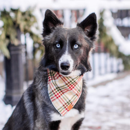 Eggnog Plaid Flannel Dog Bandana