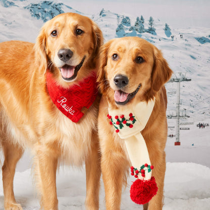 Holly Bobble Knit Dog Scarf