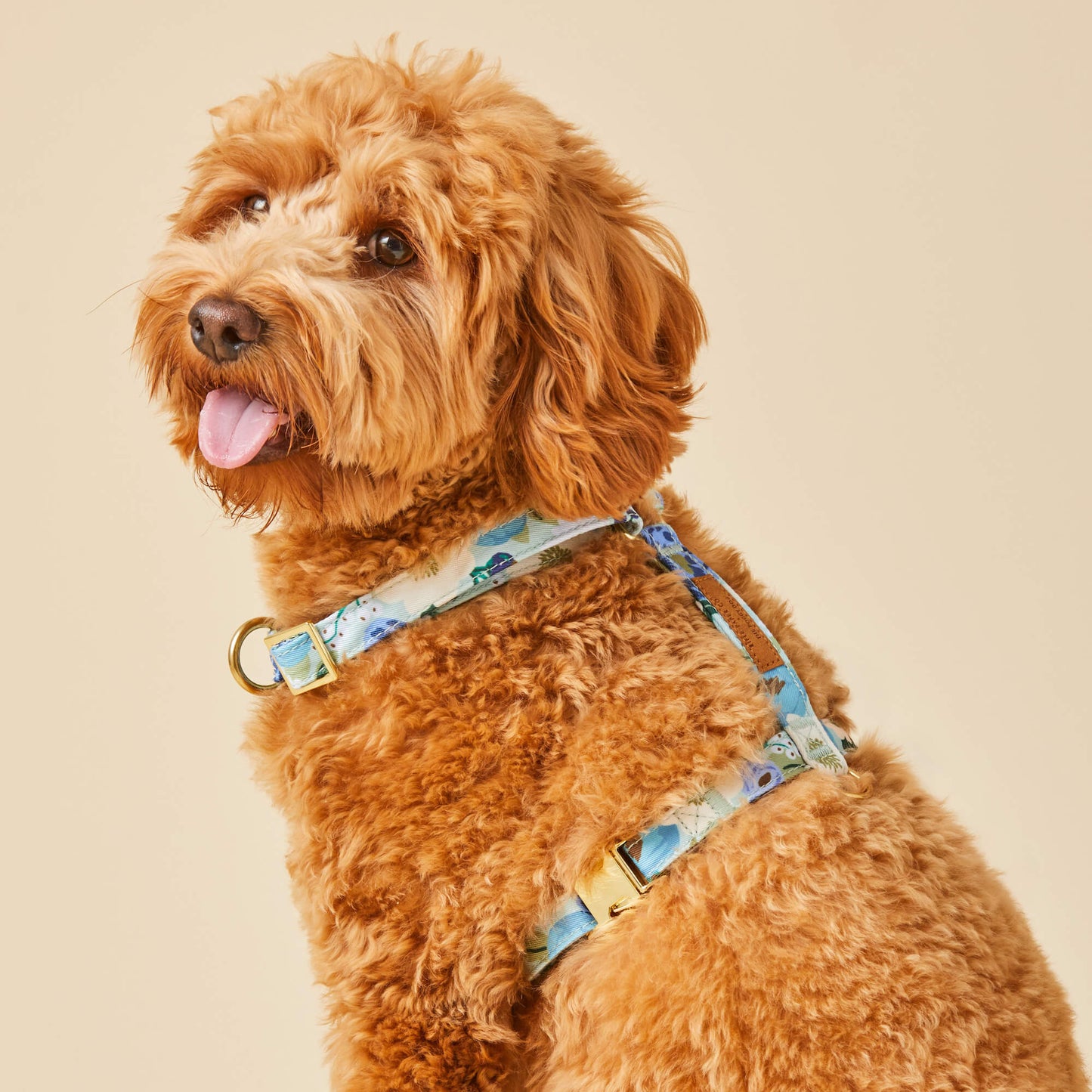 Rifle Paper Co. x TFD Vintage Blossom Harness Walk Set