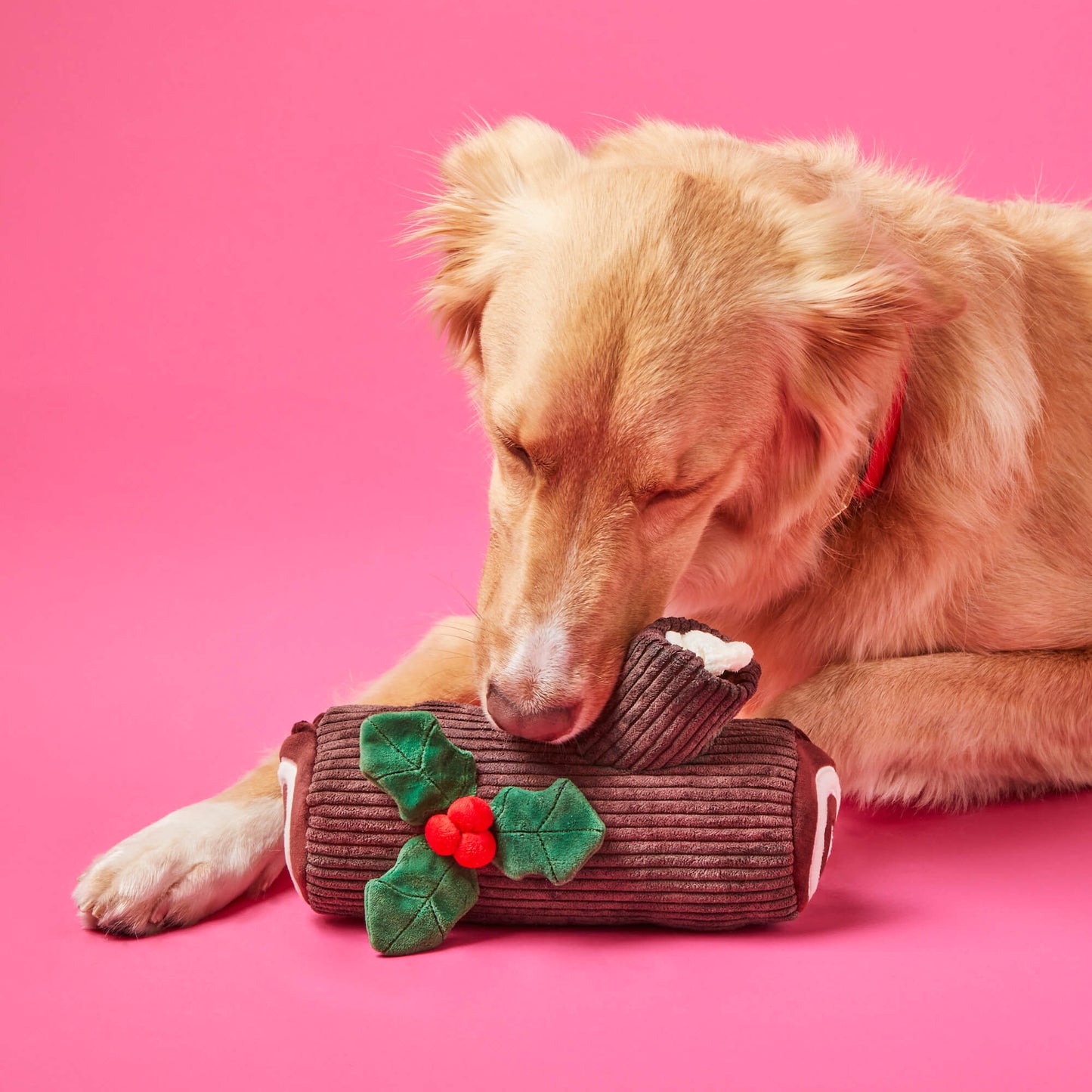 Holiday Treats Interactive Toy Set