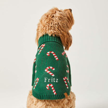 Evergreen Candy Canes Dog Sweater